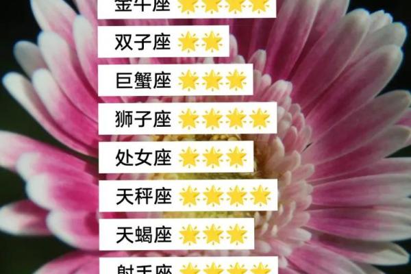 白羊座今日运势解析：开启新一天的幸运与挑战