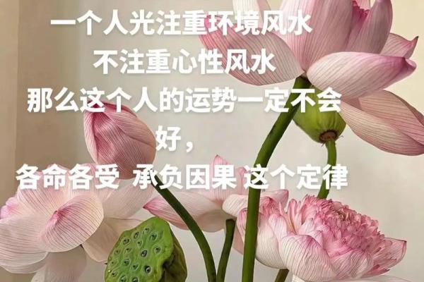 提升办公室爱情运势的风水布局建议