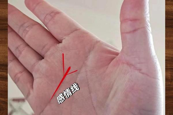 手相里的爱情线：揭示你感情的秘密