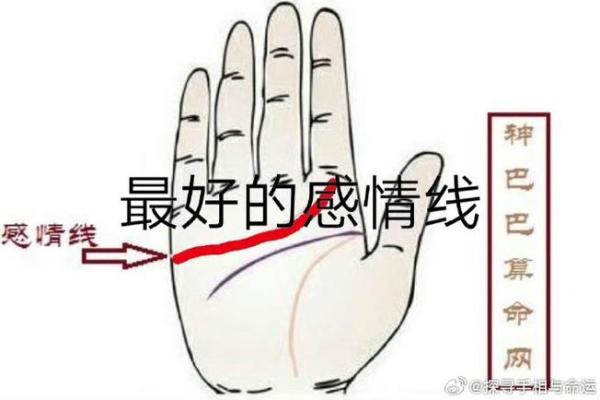 手相里的爱情线：揭示你感情的秘密