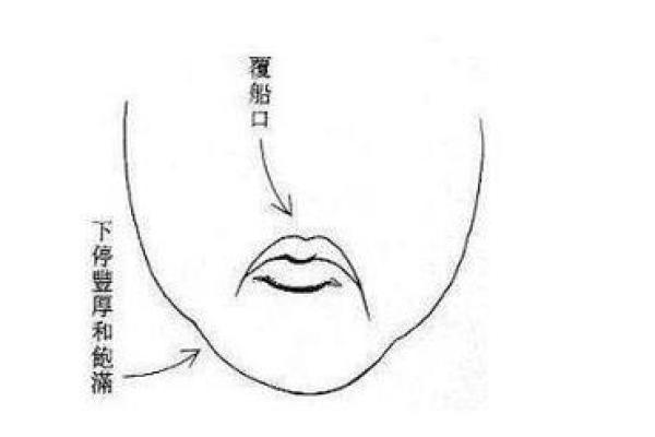 从下巴尖看性格：女人面相的深层解读