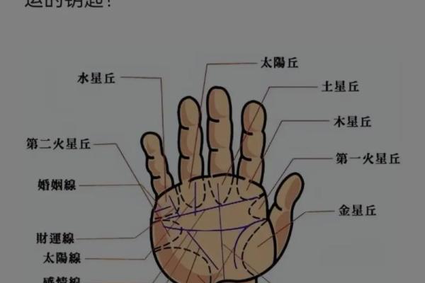 揭秘男人手相图解：掌纹能透露哪些性格与命运信息