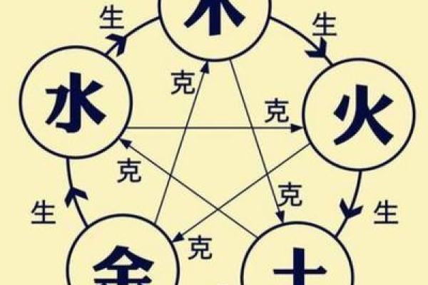 桦字的五行属性解析及其在命理中的应用