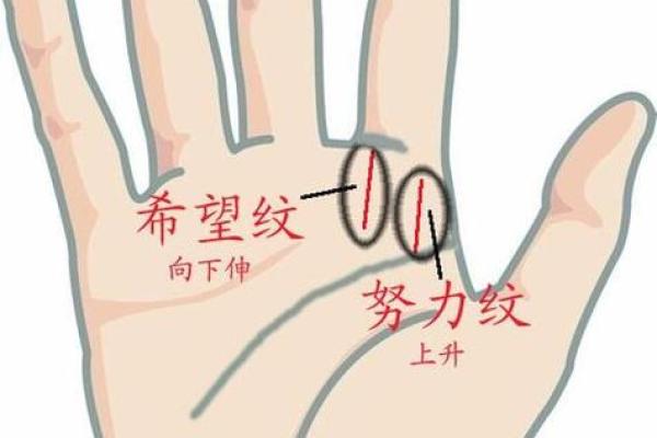 探索手相软件的奥秘：智能分析你的命运轨迹