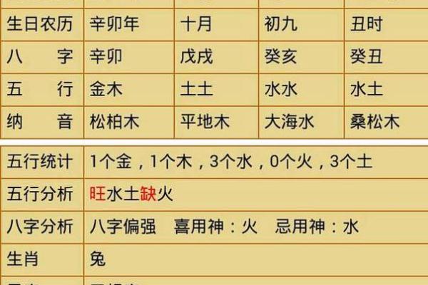 辰的五行属性及其在命理中的意义解析