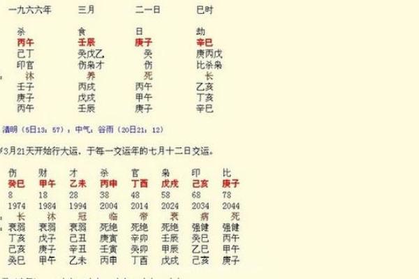 辰的五行属性及其在命理中的意义解析
