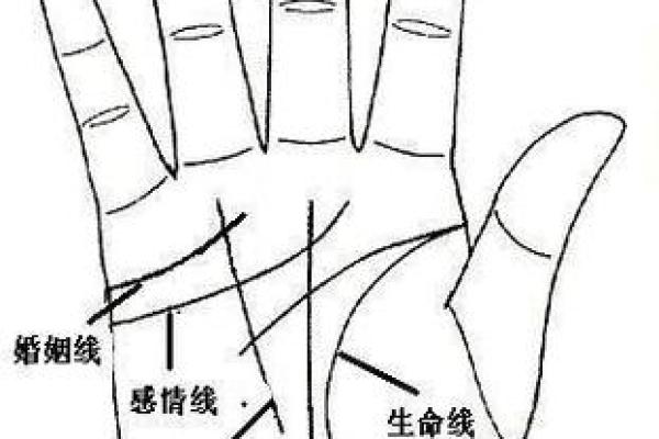 通过手相图解析人生运势