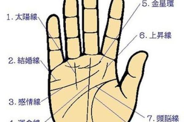 如何通过男女手相了解性格与运势