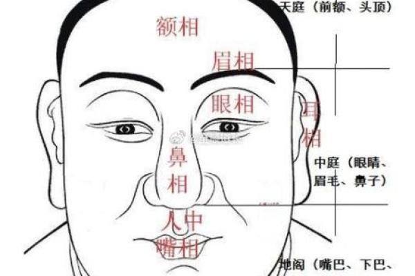 大鼻子女人面相寓意：独立坚强与财运运势
