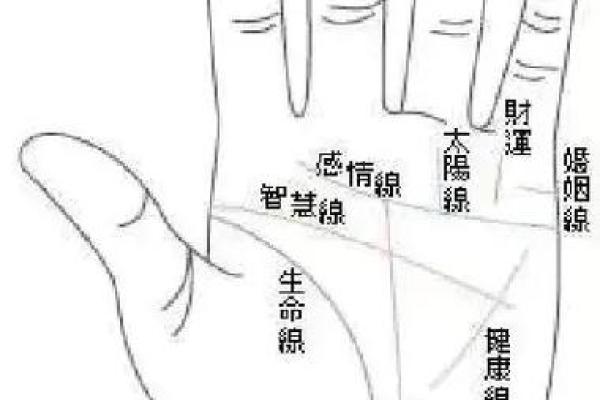 元宝纹出现手相中，代表什么样的命运走势