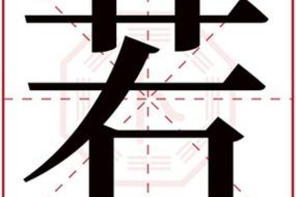 初字取名的寓意分析与文化背景探讨