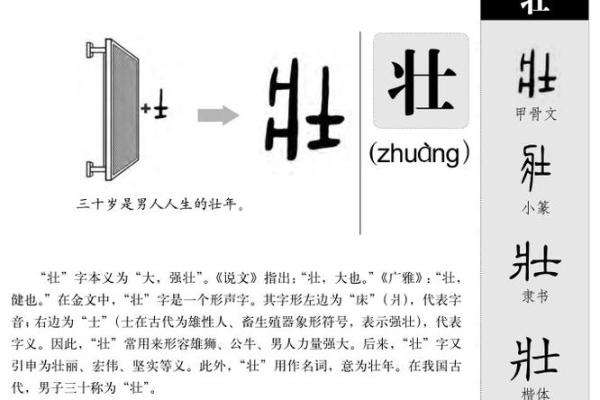 初字取名的寓意分析与文化背景探讨