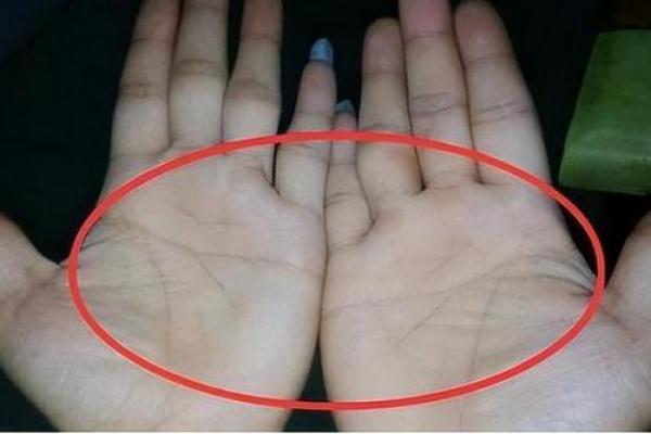 断掌手相与命运：你是否拥有改变人生的指纹特征