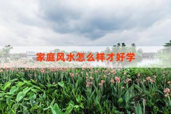 风水如何改善家居环境，助力身体健康