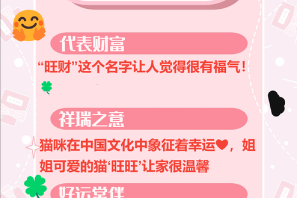 给猫咪取名字的艺术：从性格到外貌的完美搭配