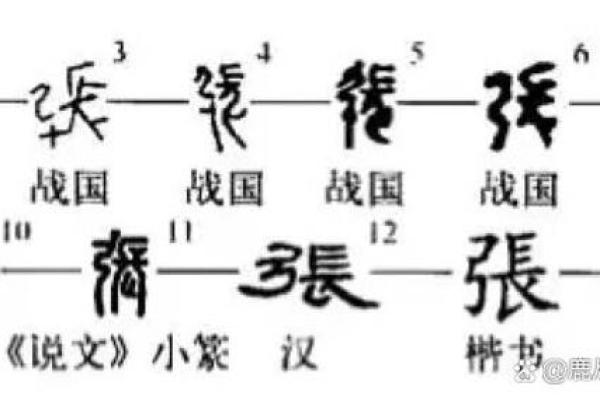 如何根据五行八字为张姓取名