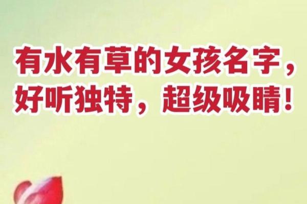 水字旁女孩名字的独特寓意与精选推荐