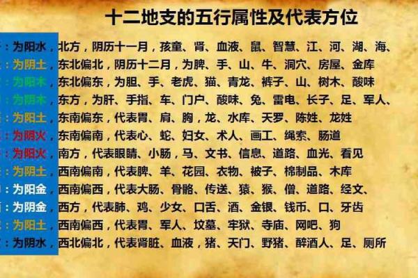 地支酉金与理想配偶的命理搭配分析