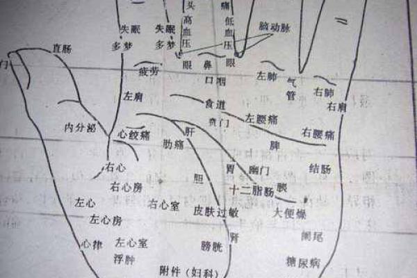 男手相图解：掌纹背后的事业与爱情密码