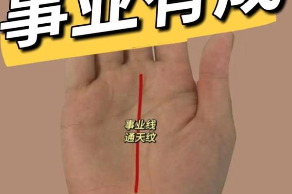 男手相图解：掌纹背后的事业与爱情密码
