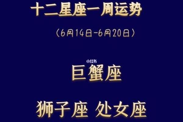 今日双子座运势揭示 关键时刻如何把握机会
