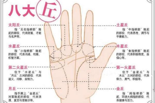 女人如何通过手相了解感情和事业运势
