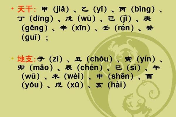 地支拼音学习指南：轻松掌握十二地支发音技巧