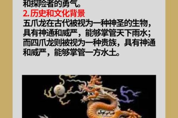 梦到龙的寓意与解读：象征着什么样的力量与变革
