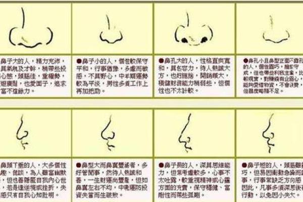 耳朵形状与命运：面相学中的耳朵特征解读