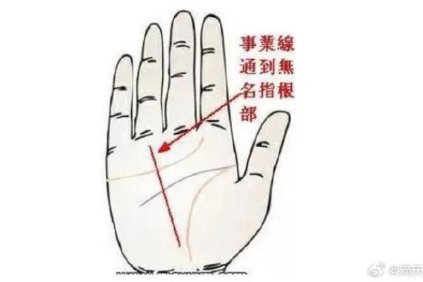 手相解析：从掌纹看你的事业与感情运势