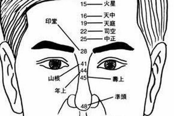 男人痣相图解：掌握这些面部痣的位置意义