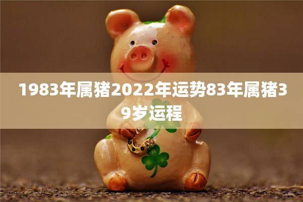 今日属猪人运势指南：适合行动的时机与注意事项