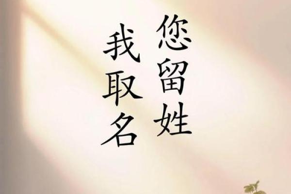 璟字取名的寓意与技巧解析