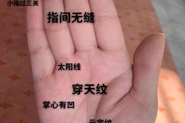 手心肉痣的形成原因及其文化解读