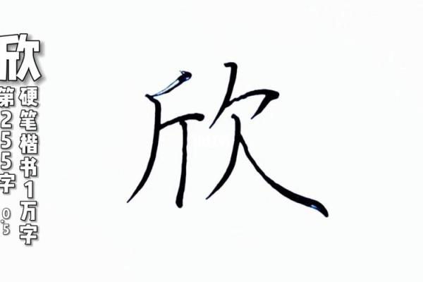 欣字取名的寓意与象征意义解析