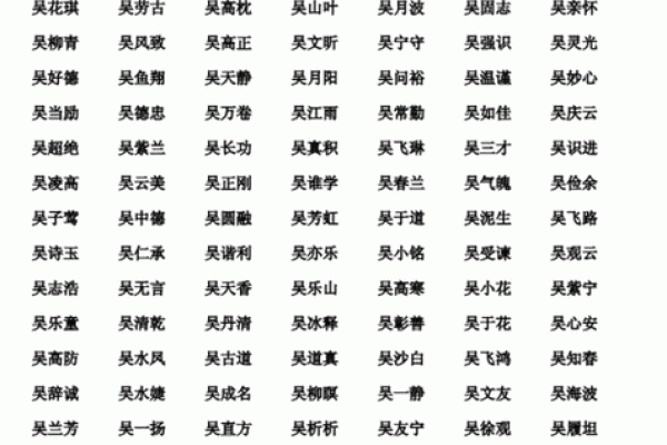 吴姓男孩名字大全及选择指南