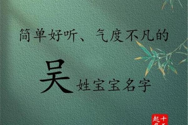 吴姓男孩名字大全及选择指南