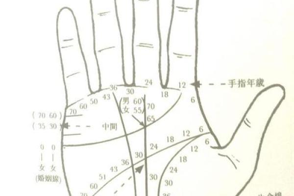 看手相真的有效吗？专家解读与常见误解