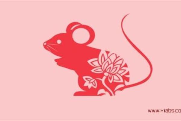 属鼠人如何通过风水改善感情运