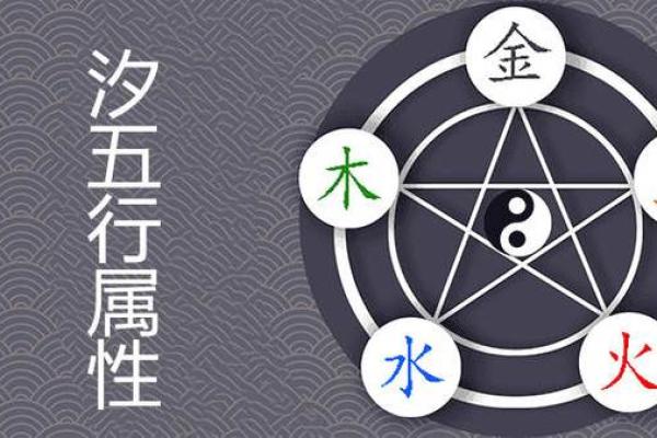 董字五行属性解析与命理影响