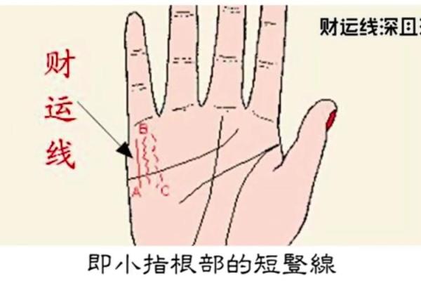 解读手相手纹的奥秘：掌握命运的线索