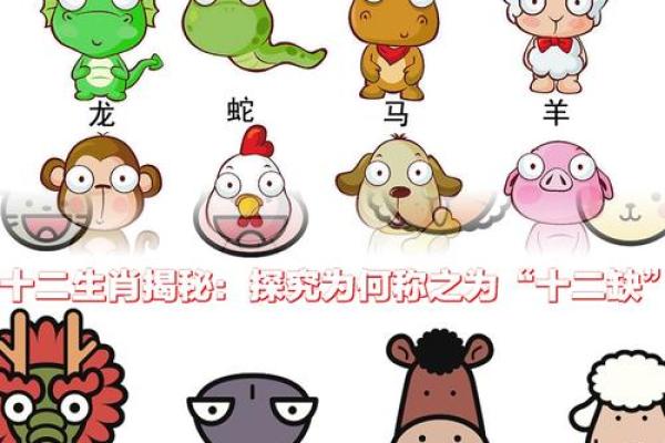 地支纪年法与生肖文化的紧密联系