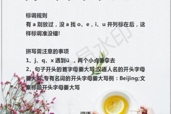 文化的发音：从音节到语境的全面理解