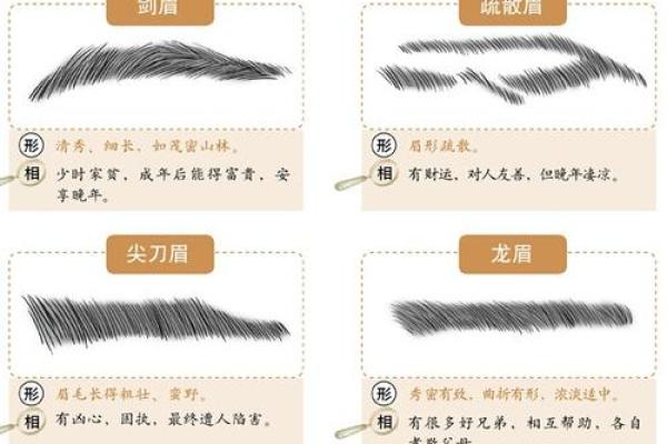 从眉毛看个性，解读面相中的吉凶迹象