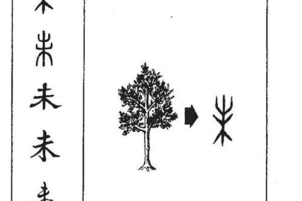 地支的历史演变与在占星学中的应用
