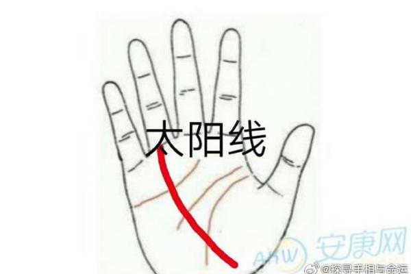 掌握手相学，解锁自己的人生走向