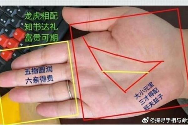 男女手相解析：从掌纹看性格与命运差异