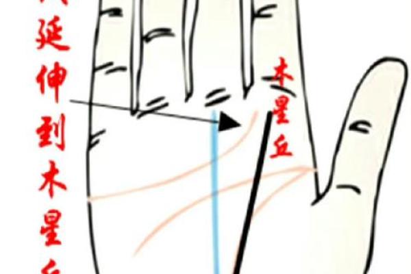 感情线揭示你的爱情命运与性格特征