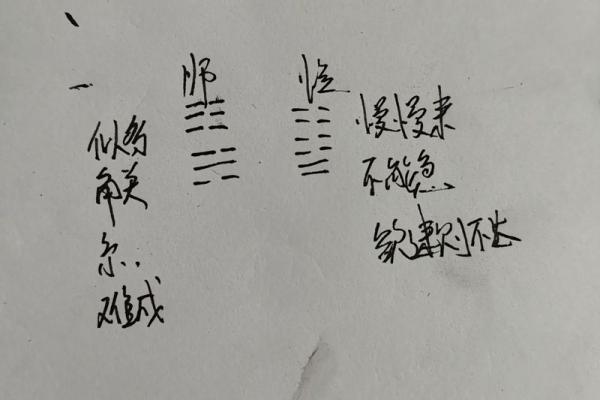 地支双卯的命理解析与人生运势影响