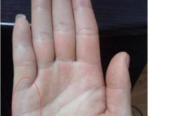 夫妻手相解析：揭示婚姻中隐藏的秘密与和谐之道